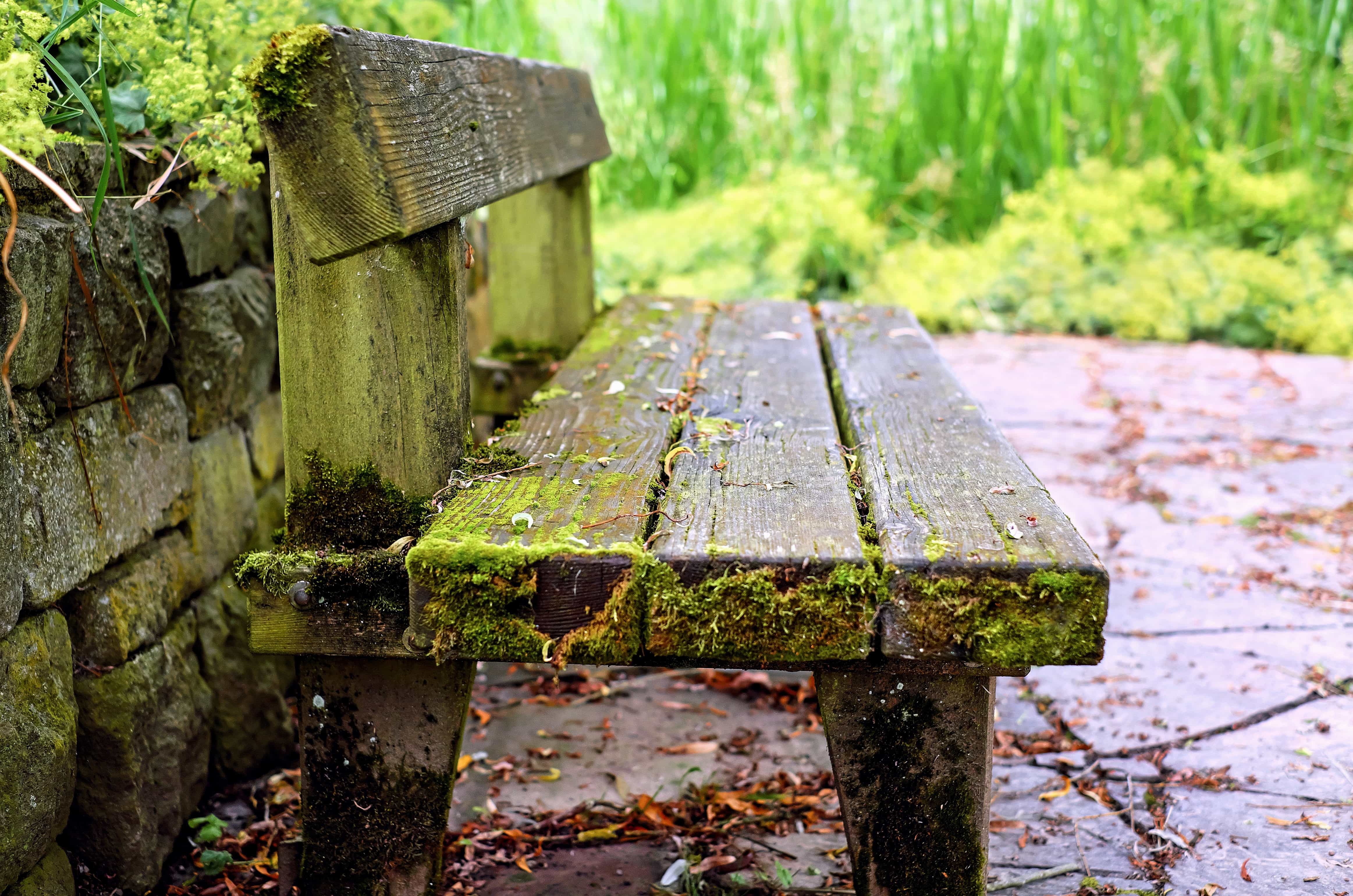 Free picture: stone, nature, wood, bench, outdoor, tree, grass, object