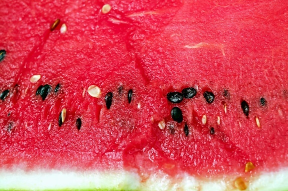 fruit, wet, sweet, food, summer, watermelon