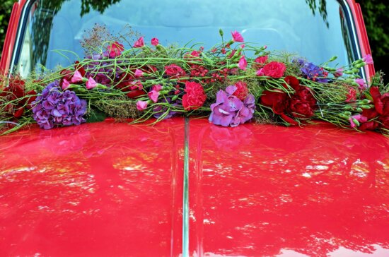 flower, metal, car, decoration, windshield