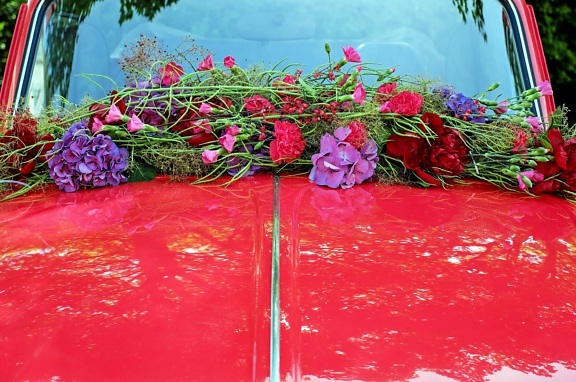 цветя, метал, кола, декорация, стъкло