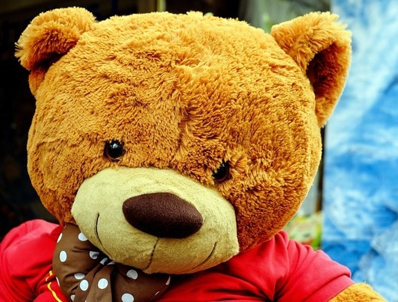 teddy bear, toy, cute, object