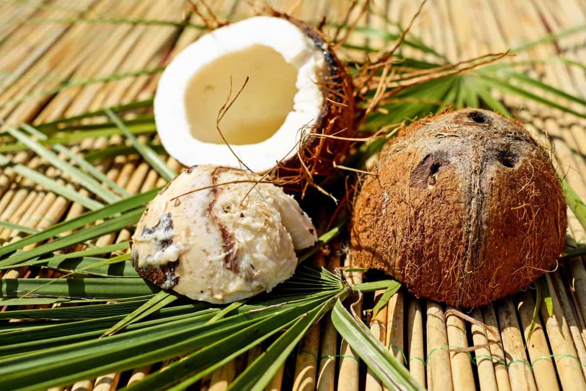 kokos, jedlo, tropické ovocie, organické, trstina, lístie, drevo