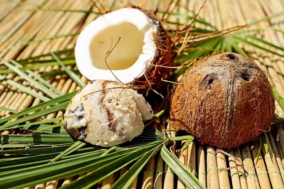 nucă de cocos, produse alimentare, fructe tropicale, organice, stuf, frunze, lemn