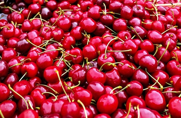 delicious, fruit, cherry, food, red, market, nutrition, vitamin