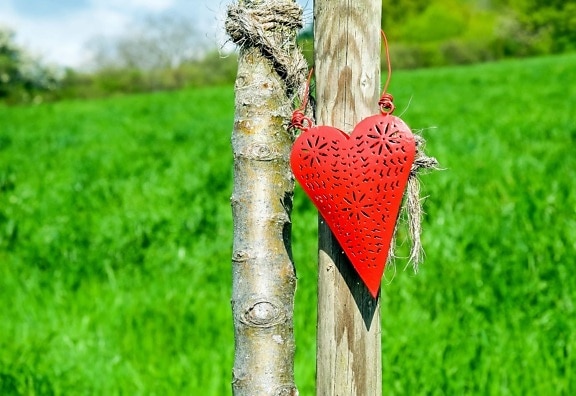 erba, natura, outdoor, amore, rosso, cuore, decorazione, legno