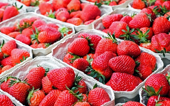 fruit, nourriture, fraise, sweet, marché, détail, macro