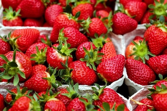 浆果, 草莓, 甜, 市场, 美味, 水果, 食品