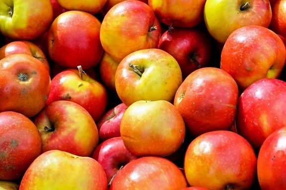 roter Apfel, Lebensmittel, Ernährung, lecker, bunt, Ernährung, Obst