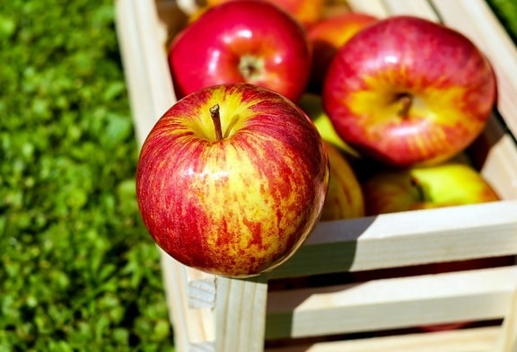 frugt, ernæring, apple, mad, lækker, kost, vitamin