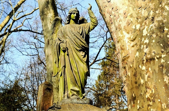 nature, tree, wood, statue, outdoor, marble, angel