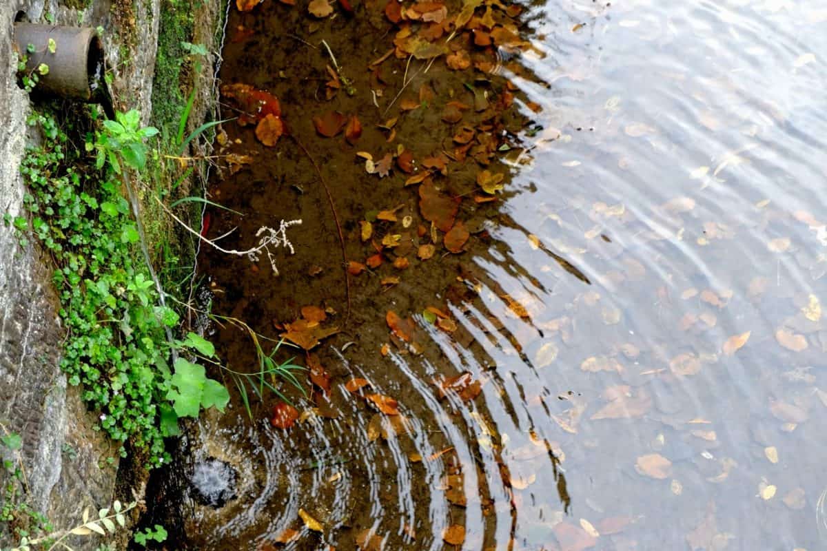 вода, отражение, листья, природа, бетон, трубы