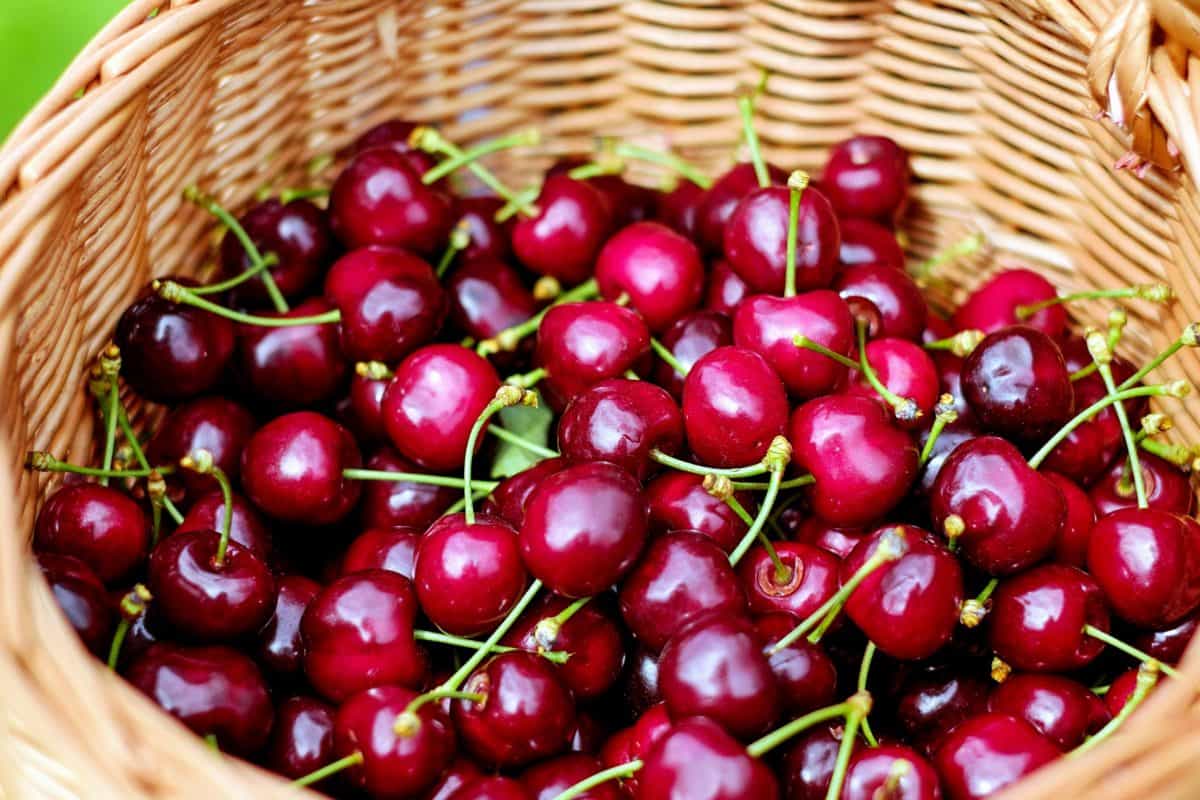 cherry, nutrition, wicker basket, delicious, food, fruit, sweet, sweet, vitamin