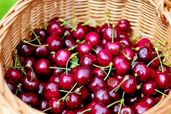 Cherry, nutriţie, coş de răchită, delicioase, alimente, fructe, dulce, dulce, vitamina