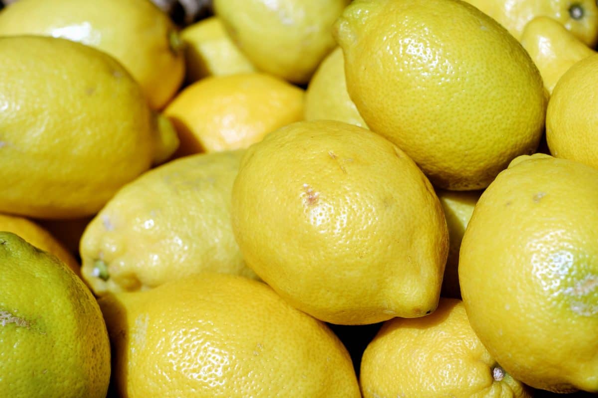 лимон, фрукты, продукты питания, цитрусовых, диета, макро