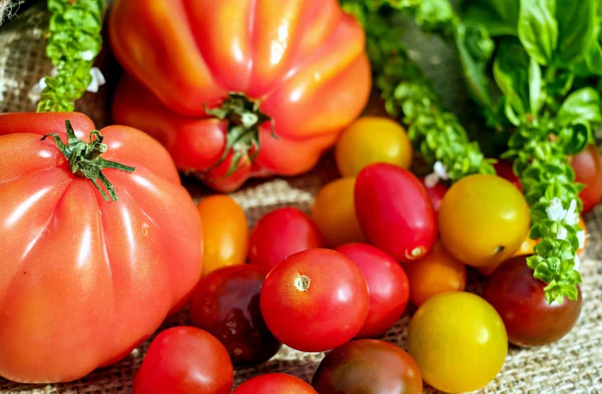червоний, барвисті, харчування рослинної їжі, помідор, вітамін