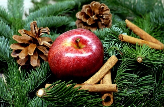 pinho, inverno, natureza morta, maçã, fruta, vitamina, canela