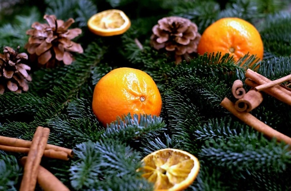 Inverno, fruta, mandarim, vitamina, decoração, abeto