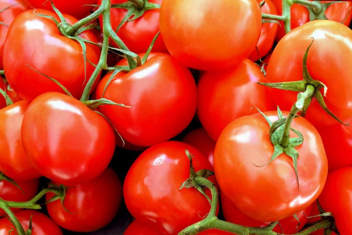voeding, heerlijke, plantaardige, voedsel, tomaat