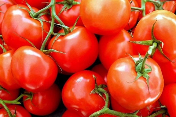 nutrición, alimentos vegetales, delicioso, tomate