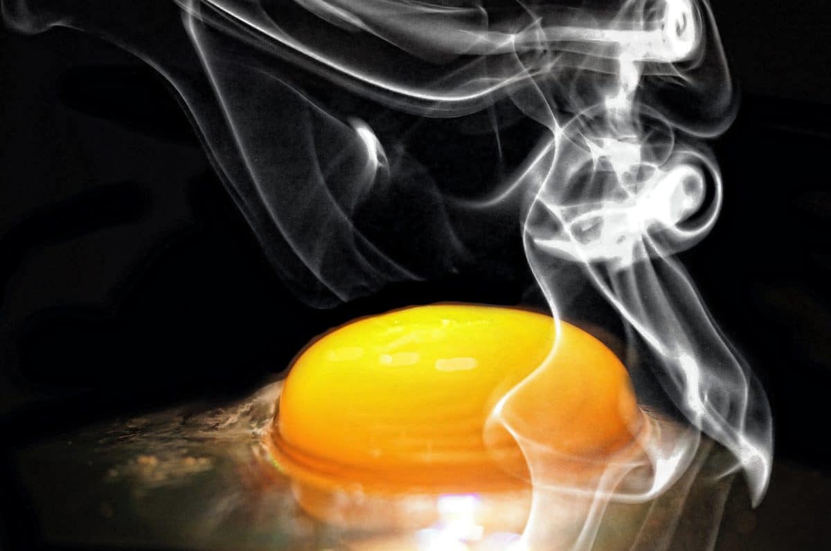 egg yolk, macro