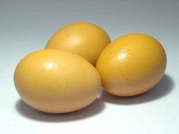 alimenti, guscio d'uovo biologico, uovo,