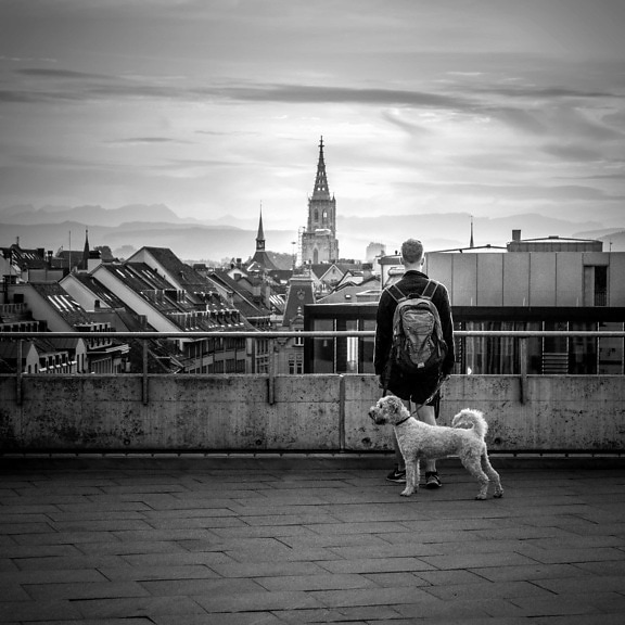 street, people, monochrome, sky, outdoor, church, dog, building, architecture