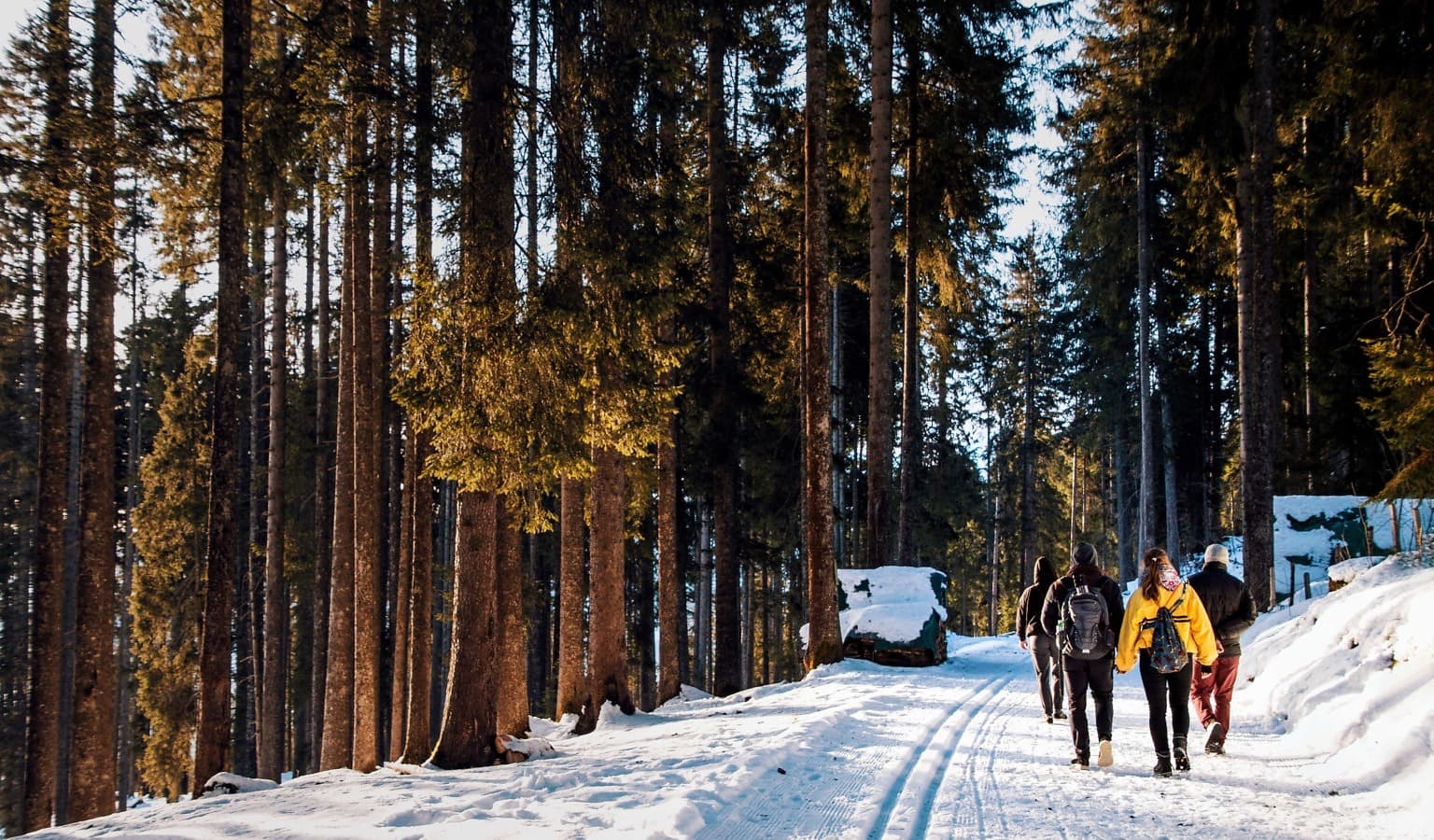 Прогулка в зимнем лесу