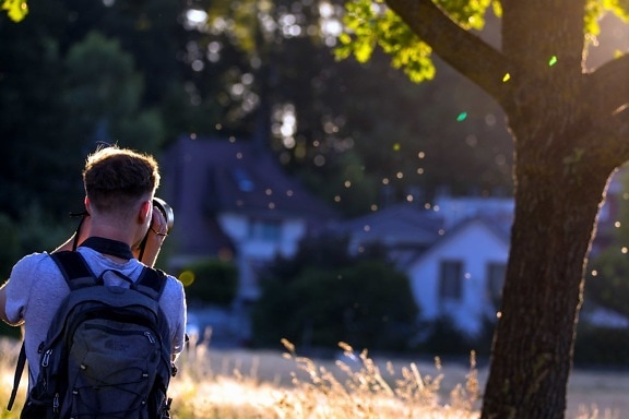 nature, people, tree, outdoor, person, wood, backpack, man, photo camera