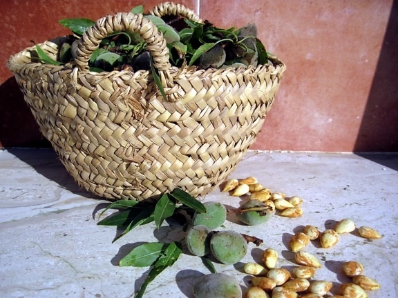 cesta de vime, de madeira, comida, milho, ainda vida, ao ar livre, semente