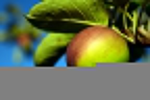 zelené jablko, jedlo, list, príroda, strom, ovocie, diéta