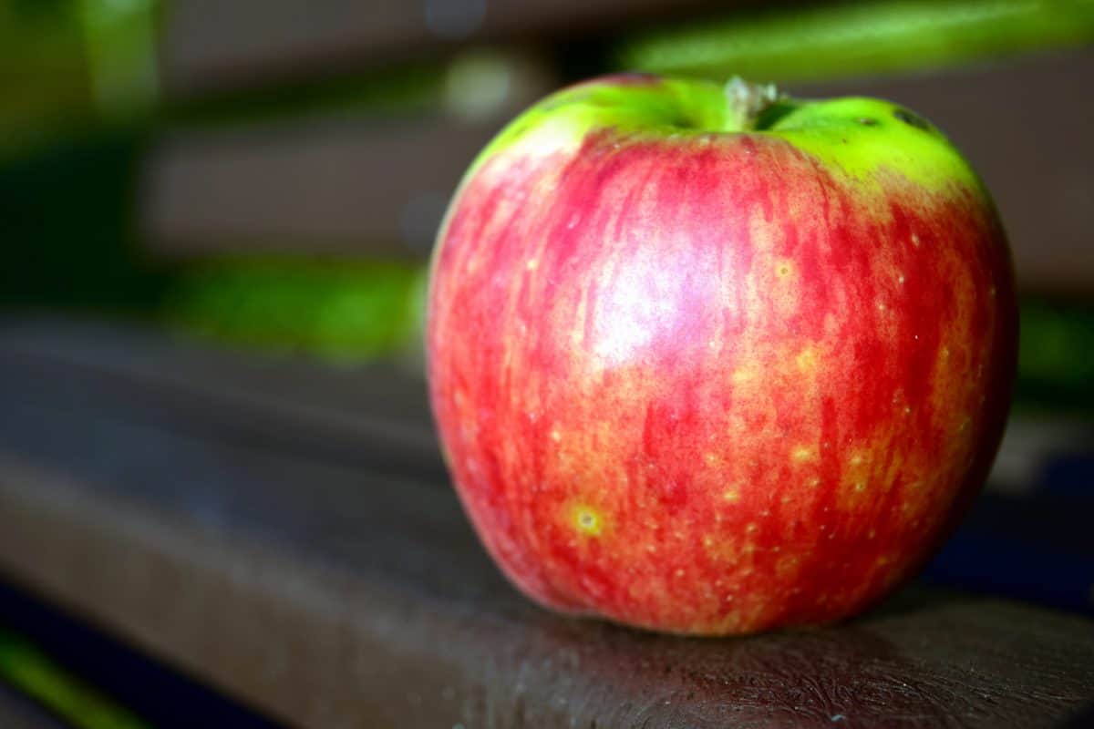 แอปเปิ้ล ผลไม้ อาหาร อร่อย วิตามิน อาหาร โภชนาการ
