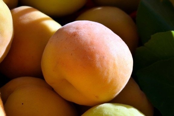 vitamina, Peach, organico, foglia, frutta, cibo, nutrizione, foglia