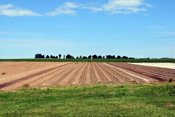 farm, field, countryside, agriculture, landscape, farmland, blue sky