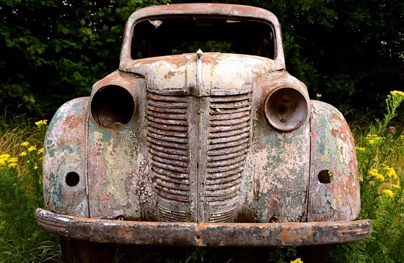 old, retro, rust, car, tree, outdoor