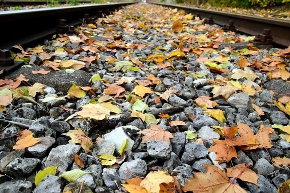 miljø, blad, natur, tekstur, sten, udendørs, jernbane