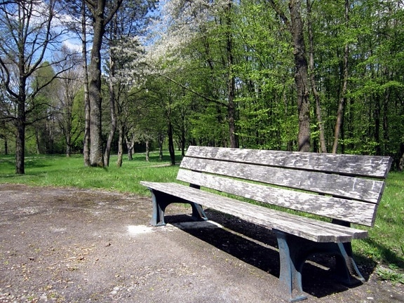 tree, bench, nature, summer, wood, landscape, grass