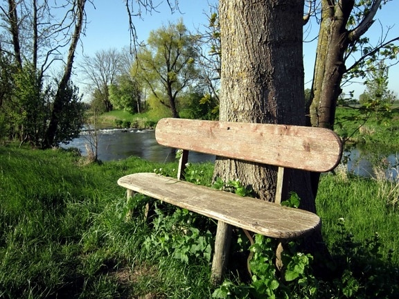 bench, nature, grass, summer, tree, stream, water
