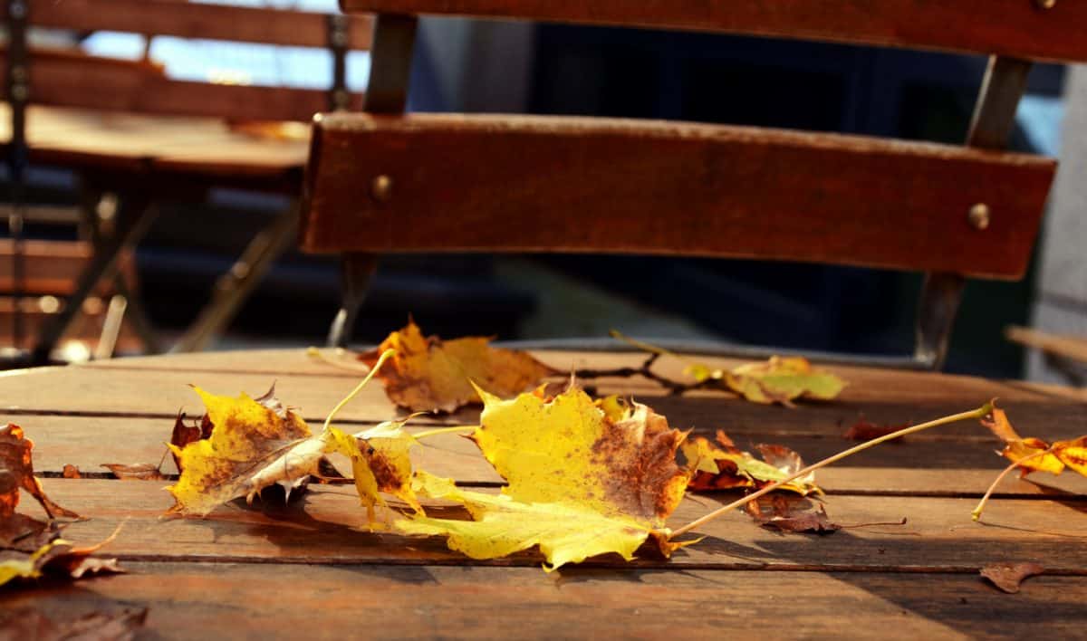 ξύλο, φθινόπωρο, τραπέζι, καρέκλα, πάρκο, Υπαίθριος