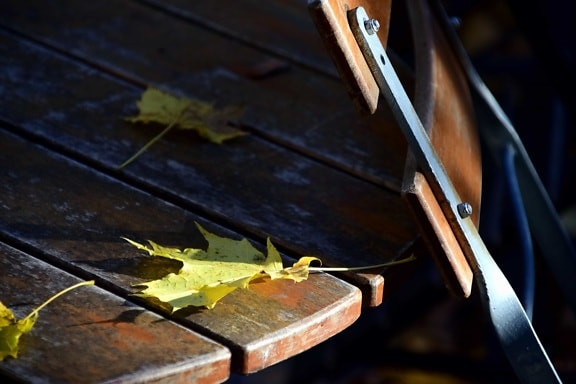 silla, mesa, hojas, otoño, sombra, bosque, parque, madera