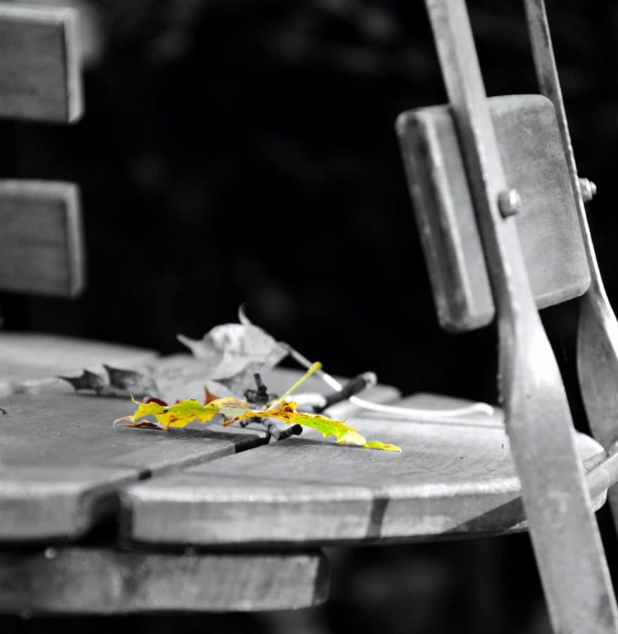 chair, table, leaf, monochrome, still life, wood