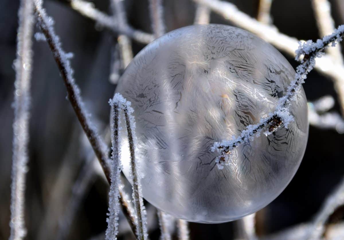 自然, 分支, 冰, 反射, 冬天, 雪花, 球形