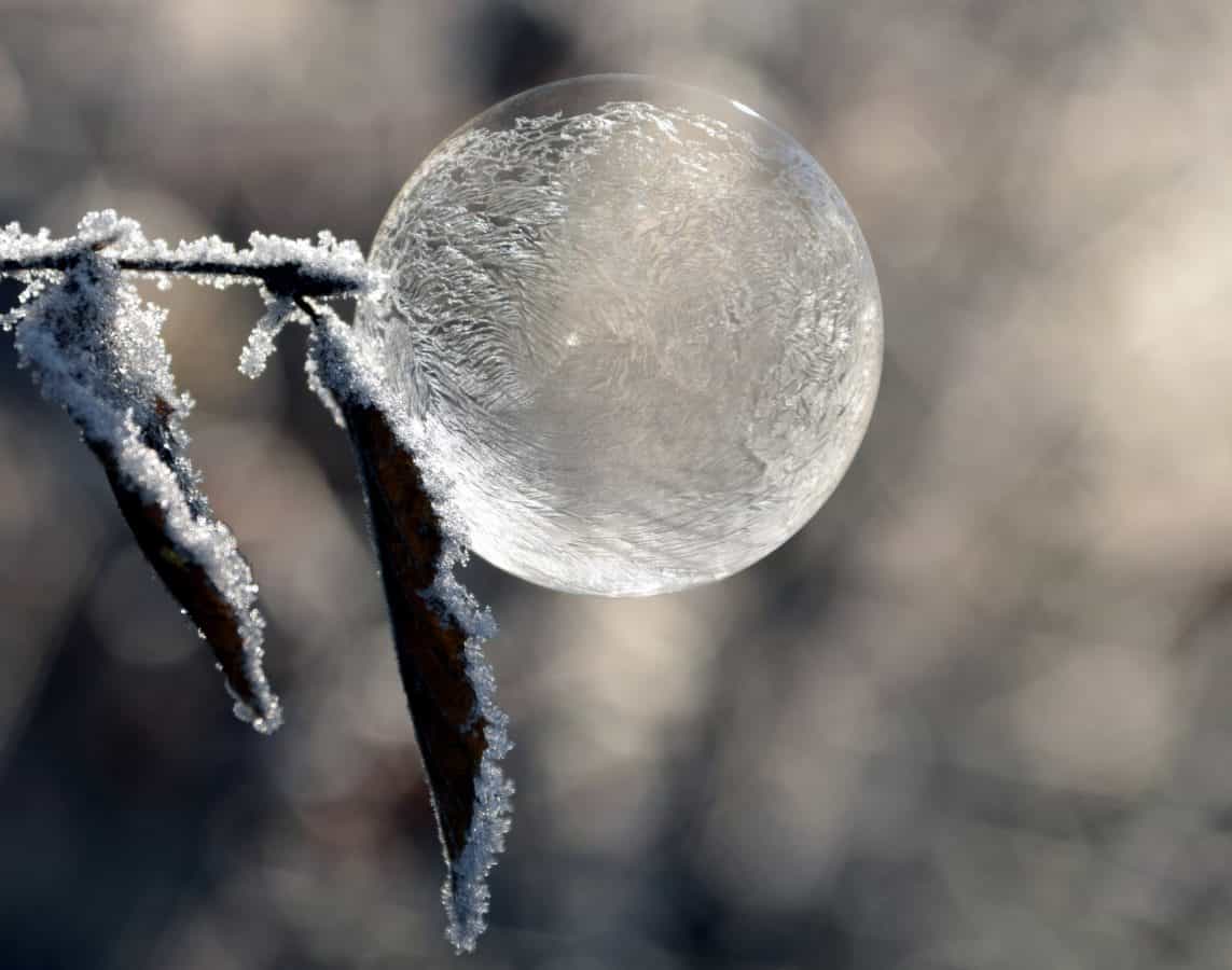 natureza, inverno, gelo, bola, reflexão, folha, floco de neve, esfera