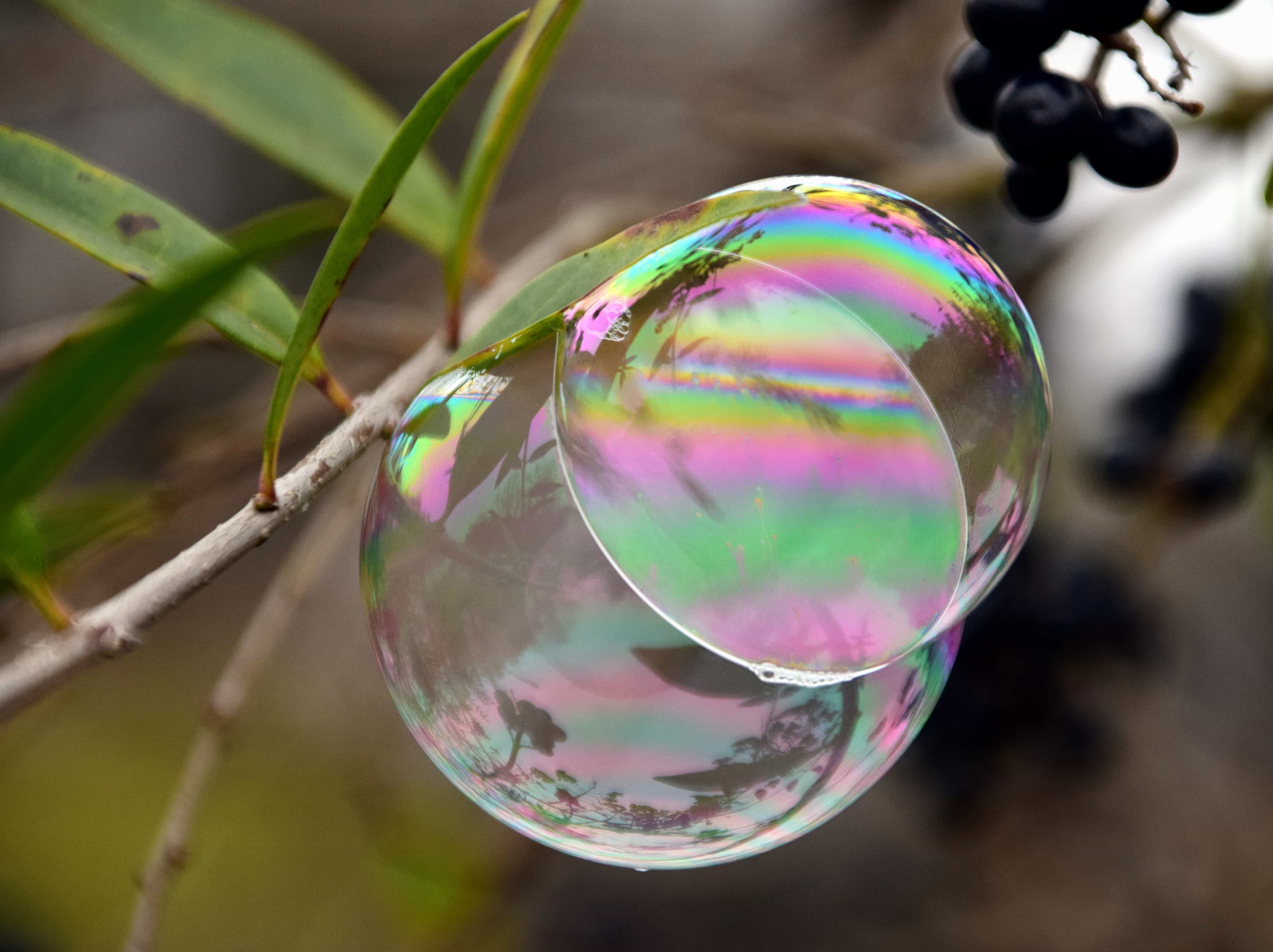 Интерференция в мыльных пузырях. Мыльные пузыри. Радужные мыльные пузыри. Мыльные пузыри на природе. Мыльный пузырь интерференция.