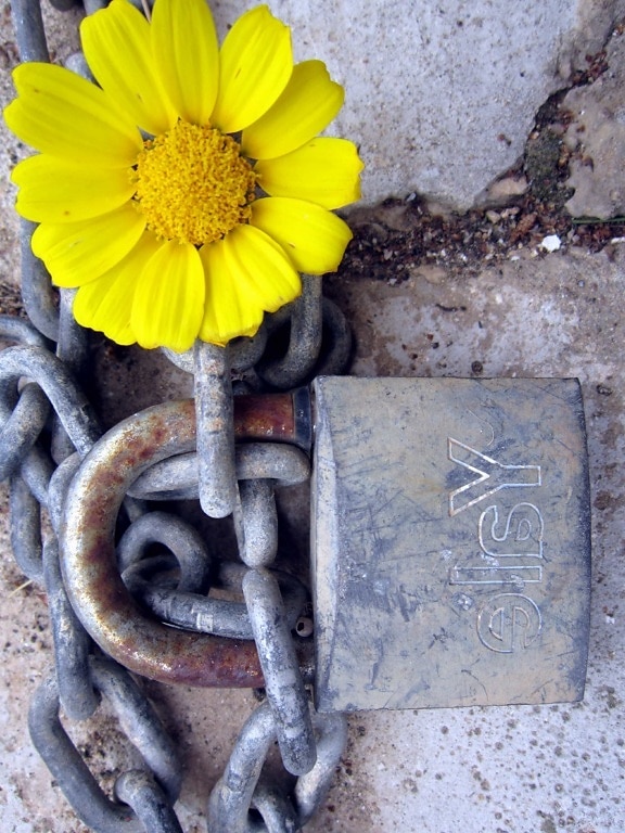 Rust, stål, sikkerhed, kæde, blomst, gamle, hængelås, jern, metal