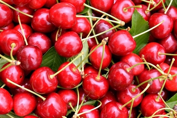叶, 美味, 樱桃, 食品, 水果, 有机, 饮食, 红色, 有机
