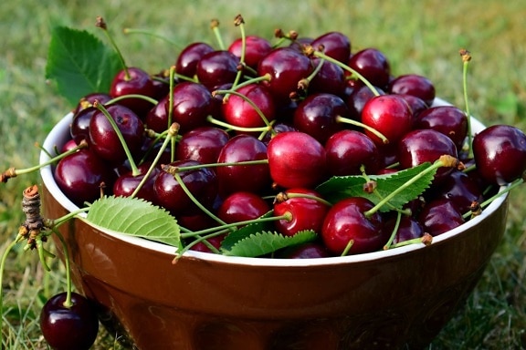 buah cherry, makanan, manis, vitamin, diet, organik, orchard
