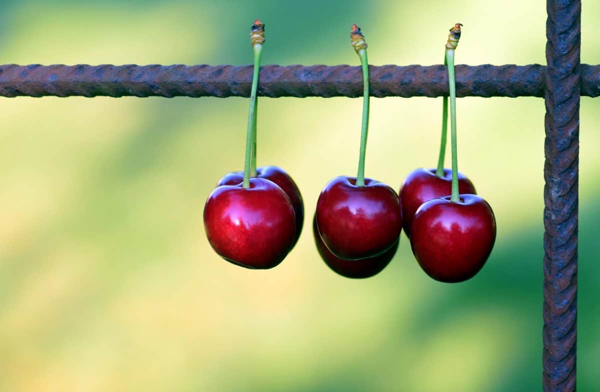 Cherry, owoce, żywność, berry, słodki, witaminy