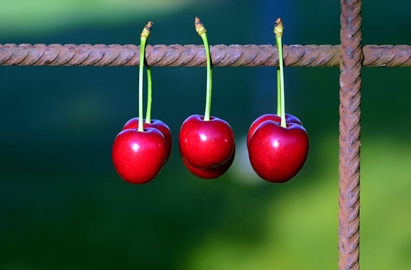 cherry, fruit, macro, food, berry, sweet, metal, outdoor, vitamin