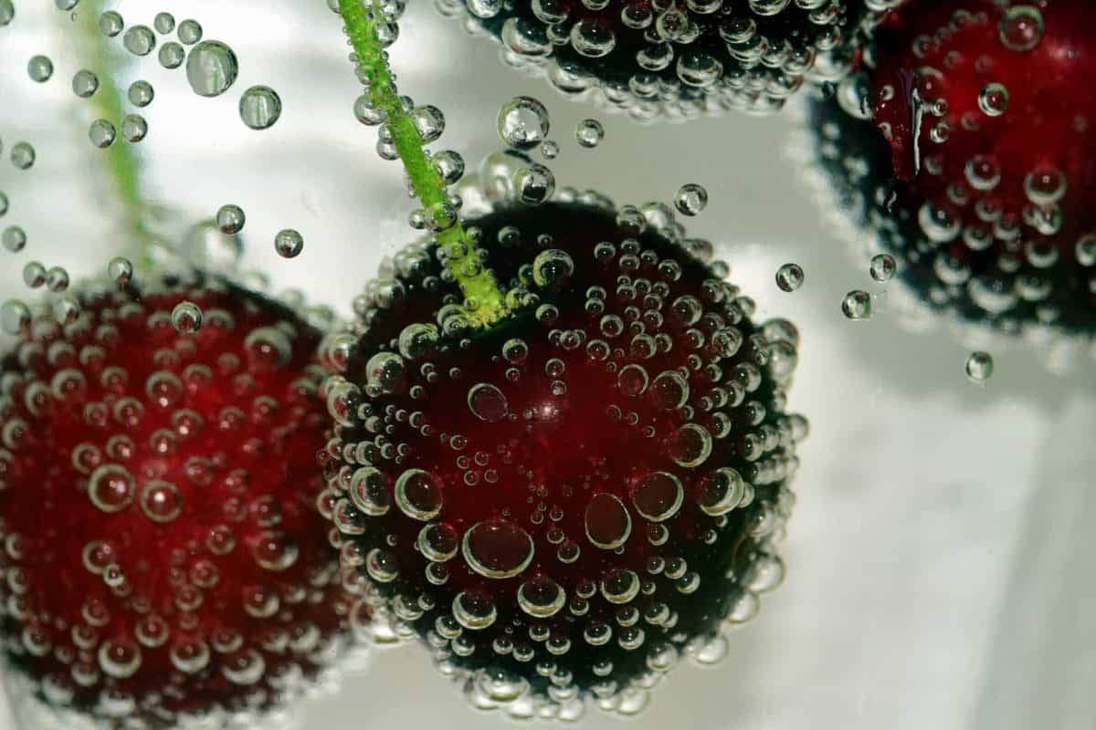 kirsebær, undervands, makro, detaljer, natur, våd, boble, flydende, frugt