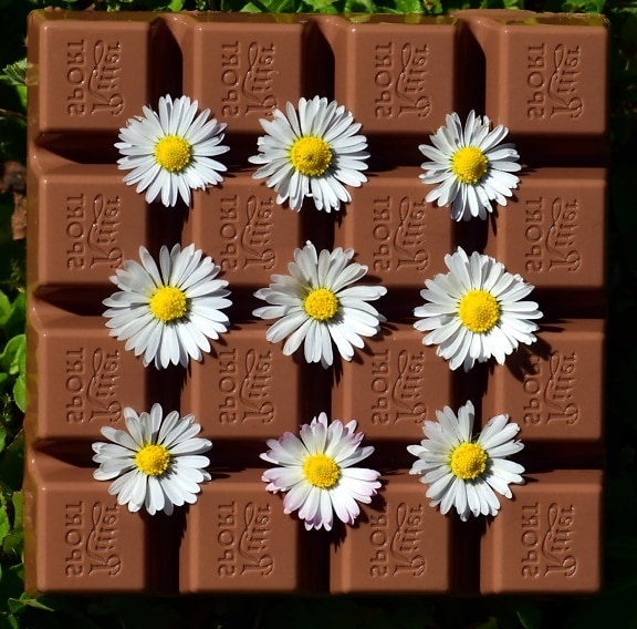 сахар, шоколад, конфеты, сладкий, темные, цветок